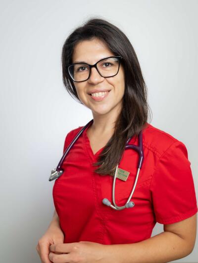 Олена Костюк